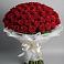 Букет 101 Красная роза Блэк Мэджик в Золотово