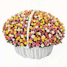 Премиум букет из: Розы в Золотово