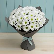 Букет цветов из:  Хризантемы #REPLACE_PRED# Золотово